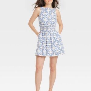 Blue and White Sleeveless Dress